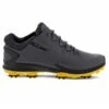 ECCO Gents Biom G3 Shoes Magnet